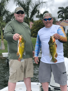 Two Caught Peacock Bass in FL